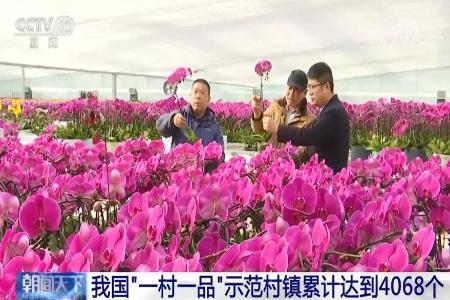 我国“一村一品”示范村镇累计达到4068个